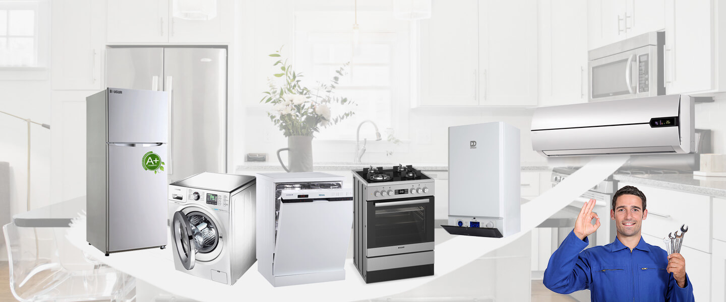 Sultanhisar Electrolux Servisi